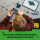 LEGO Minecraft 21274 Spotkanie ze strażnikiem - 1331610 - zdjęcie 8